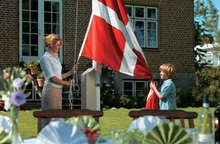 Dano Mast flagstang 10 meter